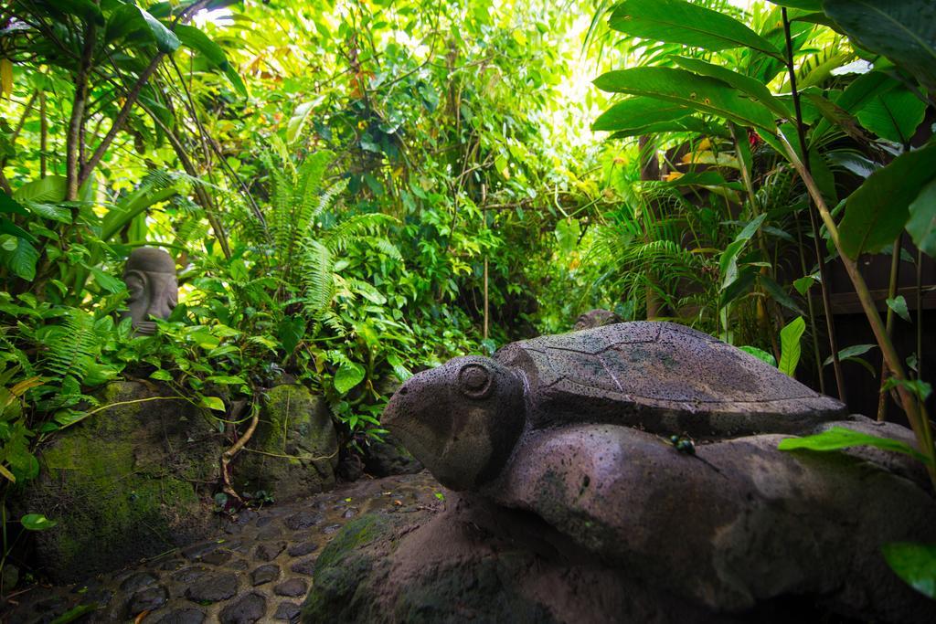 ボラボラ ロホツ　フェアヴィラ 部屋 写真
